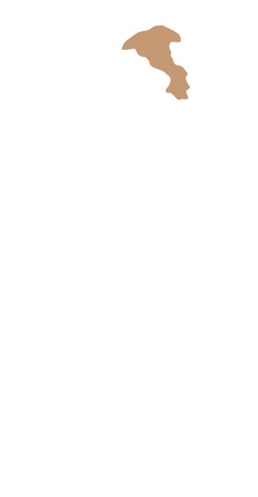 Taoyuan